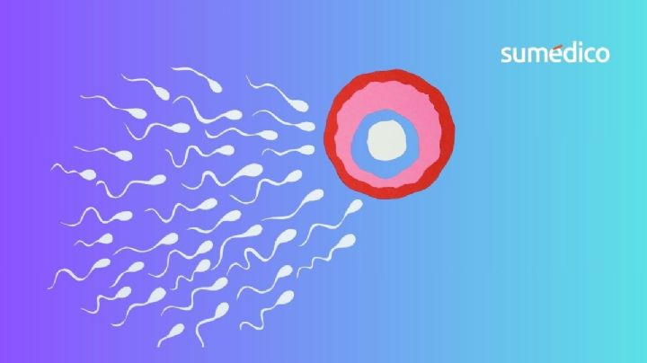 Tratamientos de fertilidad para parejas LGBTQ+ en México