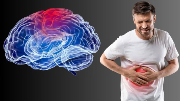 Hígado graso: ¿Aumenta el riesgo de demencia?