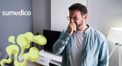 Olor a humedad en tu casa: Así puedes eliminarlo