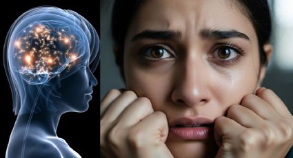 ¿Vives estresado? El método de Harvard para transformar tu salud mental