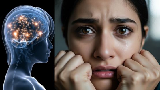 ¿Vives estresado? El método de Harvard para transformar tu salud mental