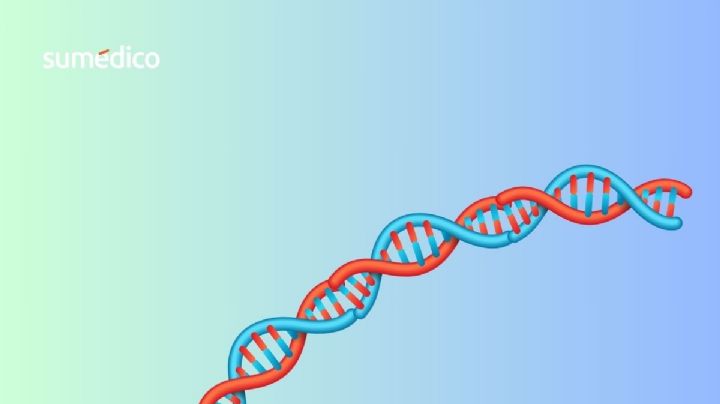 Genetistas eliminan el cromosoma causante del síndrome de Down
