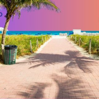 Enfermedades que sólo puedes contraer en la playa