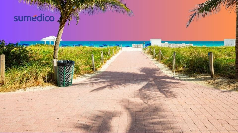 La playa es uno de los ecosistemas más comunes en México