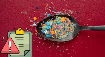 Científicos descubren microplásticos en semen y ovarios ¿cuál es el riesgo?