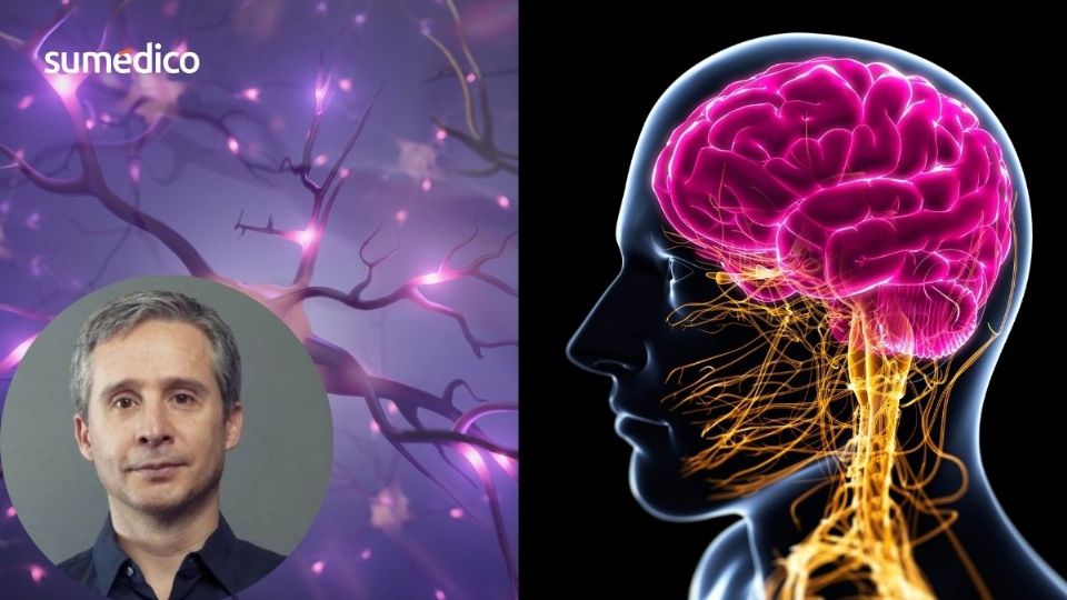 El cerebro requiere cuidados especiales dependiendo de la edad.
