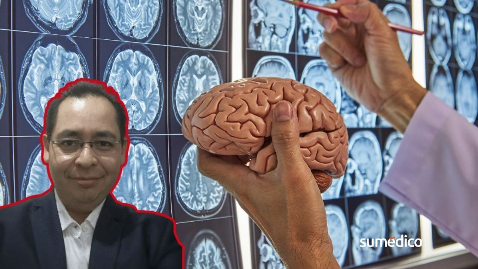 Un cerebro sano nos pemite realizar todas nuestras actividades.