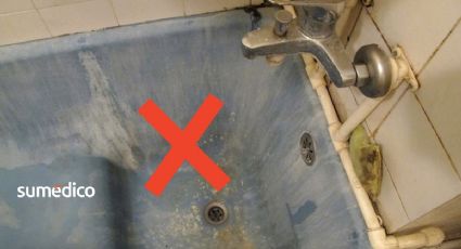 ¿Cómo evitar el moho en la regadera?