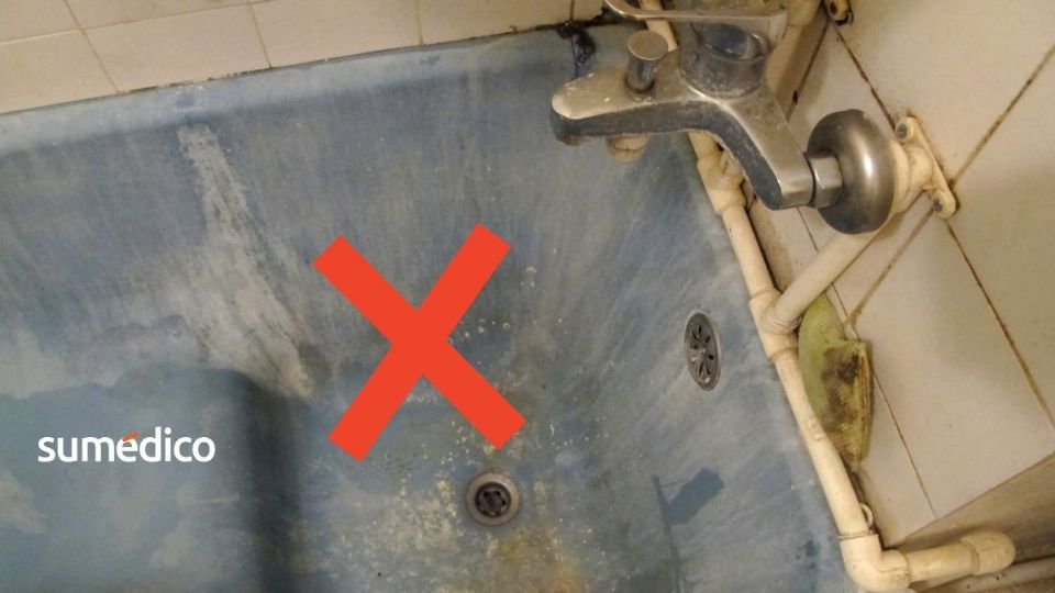 Uno de los grandes problemas que se pueden suscitar en la regadera es el moho