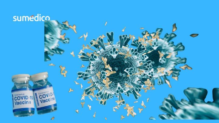 Qué síntomas da Stratus, la nueva variante de covid MÁS contagiosa