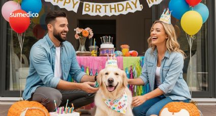 ¿Qué significa tratar a tu perro como si fuera un hijo, según la psicología?
