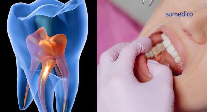 ¿Adiós a los dientes postizos? Crean dientes humanos en laboratorio