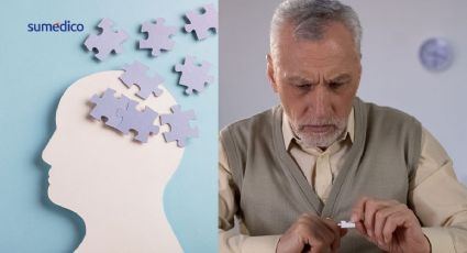 Esto pasa en tu cerebro al tener un mayor nivel educativo, según estudio