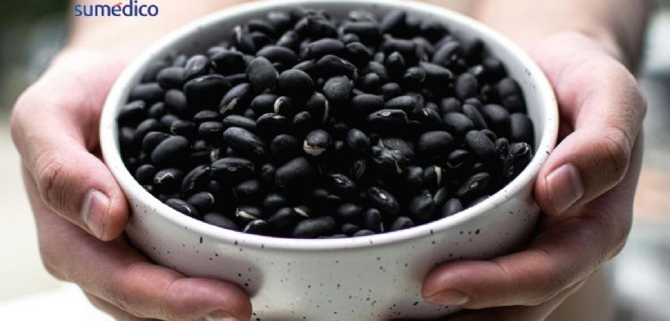 ¿Qué efecto tienen los frijoles en la resistencia a la insulina?