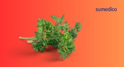 La hierba que purifica tus riñones ¿Cómo tomarla?