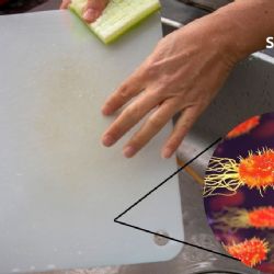 Cómo limpiar correctamente la tabla de cortar y eliminar todas las bacterias
