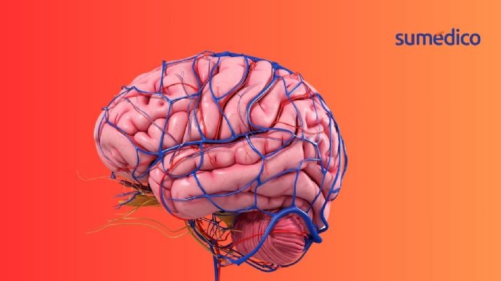 3 hábitos que NO pueden faltar para proteger tu cerebro