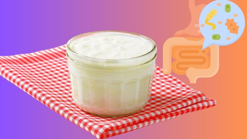Las bebidas probióticas como el kéfir pueden ser muy saludables.