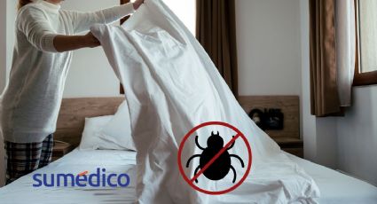 ¿Cómo eliminar los ácaros de tu cama?
