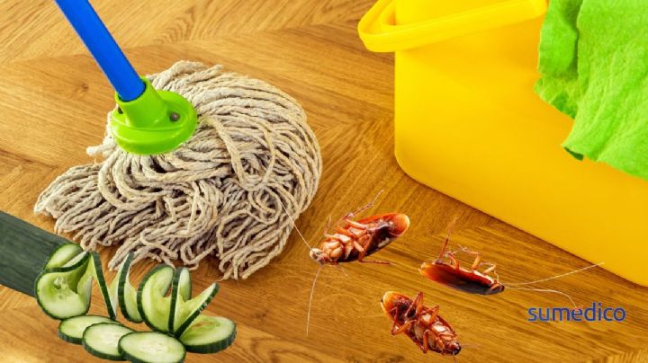 Cómo trapear con pepino para ahuyentar cucarachas definitivamente
