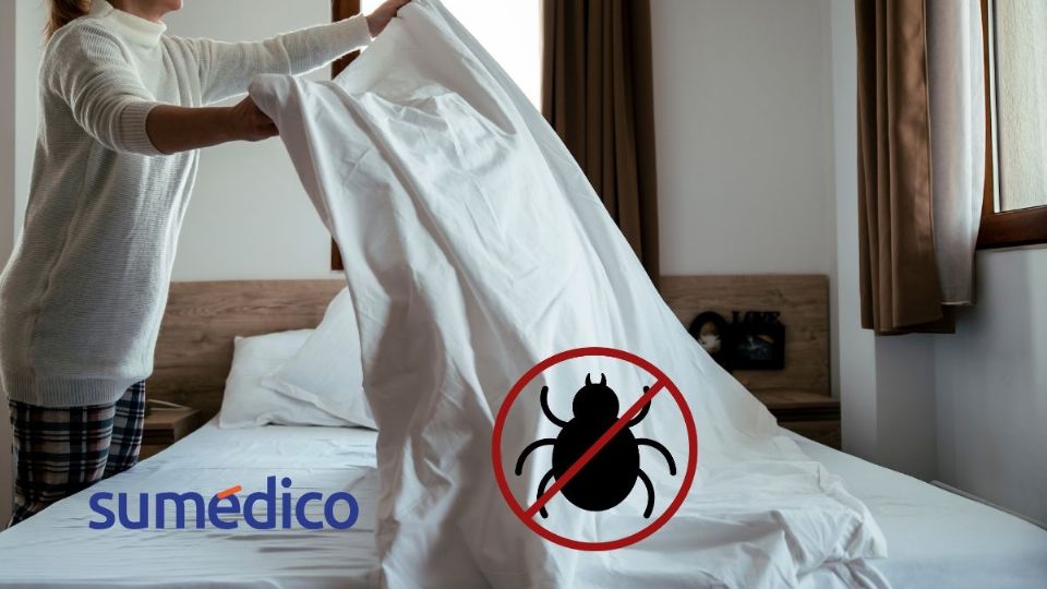 Conoce la mejor forma de eliminar los ácaros de tu cama