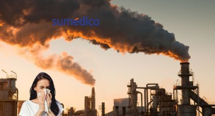 Alergia y contaminación ¿Cómo se relacionan?