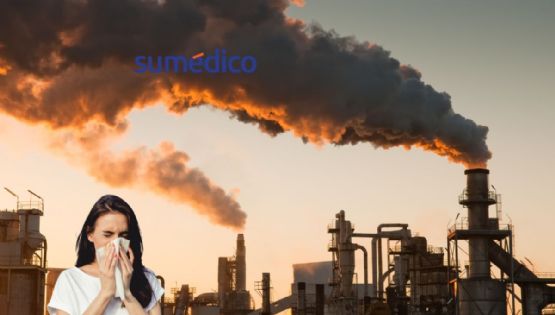 Alergia y contaminación ¿Cómo se relacionan?
