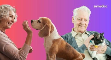 ¿Cómo ayuda a los adultos mayores tener mascotas en la vejez?