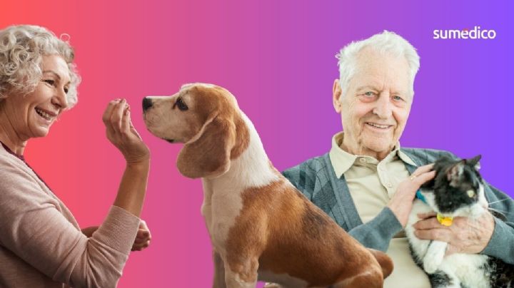 ¿Cómo ayuda a los adultos mayores tener mascotas en la vejez?