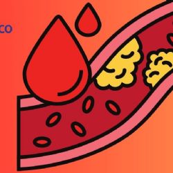 3 causas por las que tu colesterol está alto aunque no comas grasas, según cardiólogo