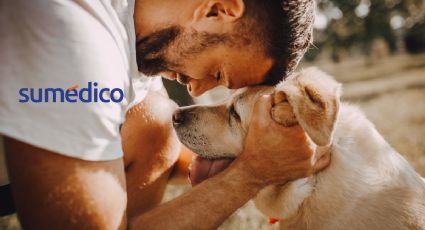 El significado de tener perrhijos, según la psicología
