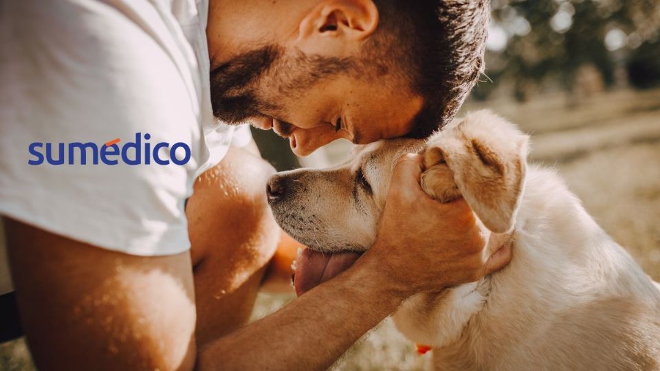 Conoce el significado de tener perrijos, según la psicología