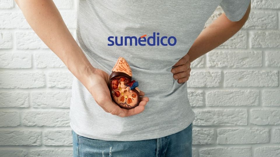 Conoce los síntomas que avisan que tienes cálculos renales y cómo prevenirlos