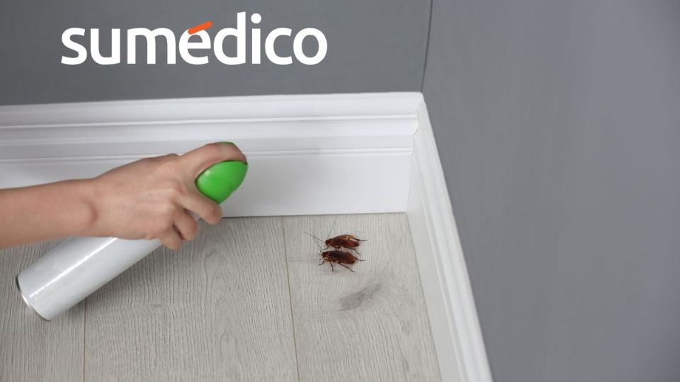 Conoce cómo hacer el aseo de tu casa para eliminar cucarachas e insectos de manera efectiva