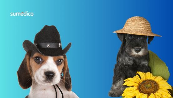 ¿Las mascotas sienten emociones como los humanos? Esto dice la biología