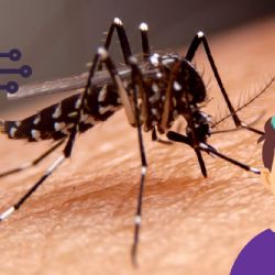¿Cómo la inteligencia artificial puede detectar y prevenir el dengue?