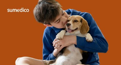 Cómo acariciar a un perro y por qué es tan bueno para los niños
