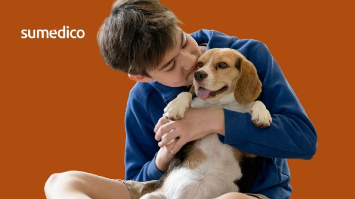 Cómo acariciar a un perro y por qué es tan bueno para los niños