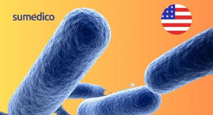 ¿Qué es la bacteria come carne y cómo se transmite?