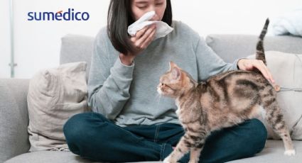 ¿Qué hacer si en mi casa hay un gato y soy alérgico?