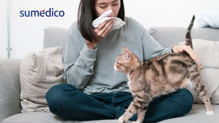 ¿Qué hacer si en mi casa hay un gato y soy alérgico?