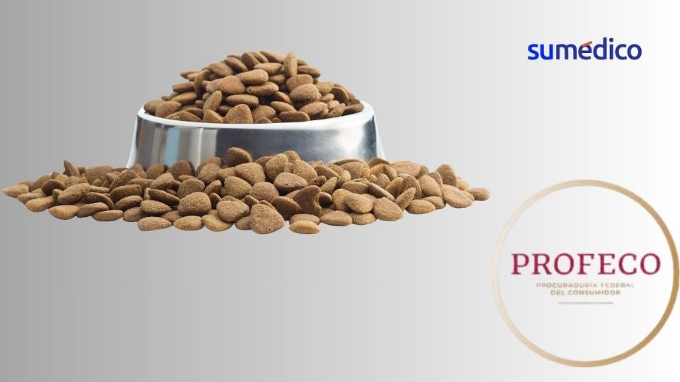 Las mejores croquetas par perro