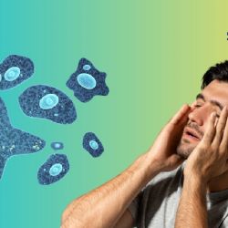 Brote de la ameba “comedora de cerebro” alerta a autoridades mundiales de salud; ¿qué síntomas tiene?