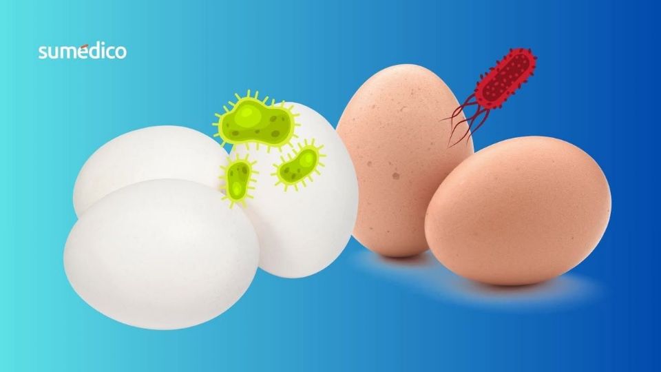 Huevos con salmonela
