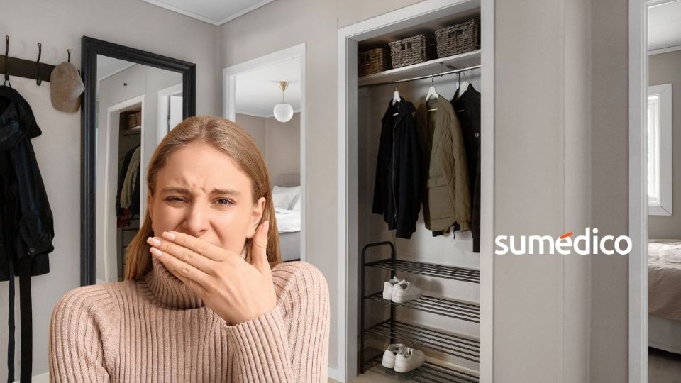 Descubre cómo quitar el olor a humedad de tu closet