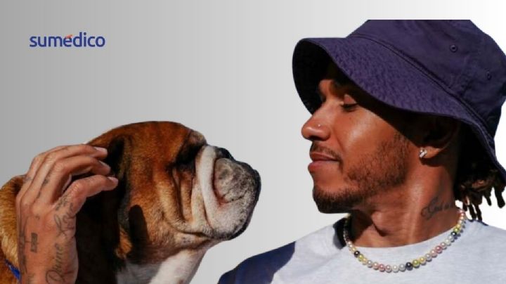 Lewis Hamilton sufre la pérdida de su perrito, ¿cómo afecta a la salud la muerte de una mascota?
