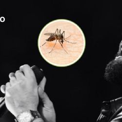 Carín León reveló que tiene dengue: ¿Qué es y cuáles son los síntomas?