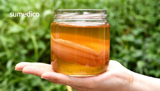 ¿Por qué debo incluir kombucha en mi dieta? Esto dicen los expertos