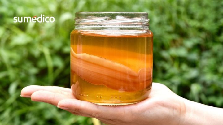 ¿Por qué debo incluir kombucha en mi dieta? Esto dicen los expertos