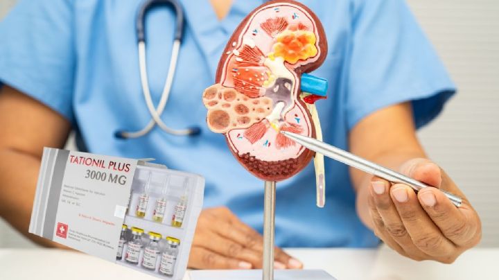 Esta es la función del Tationil Plus, medicamento encontrado en la cabaña del “Mencho”